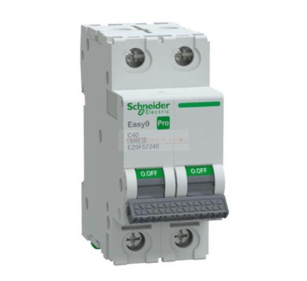 Schneider Easy9 Pro kismegszakító 2P C 40A 6kA