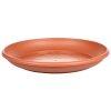 Harmonie csszealj virgcserpbe terrakotta tmr 17 cm