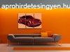 Kzzel festett POP Art festmny PORSCHE 911 3 darab por | k