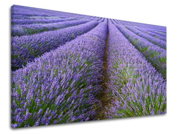 Fali festmény LANDSCAPE KR039E11