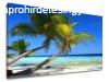 Falfestmny BEACH PL011E11
