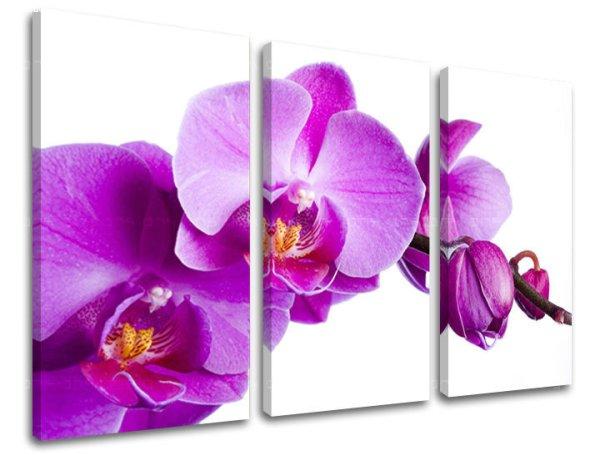 3 részes falfestmény FLOWERS XOBKV135E30