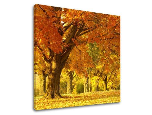 Falfestmény TREES ST027E12
