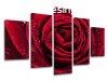 5 rszes falfestmny FLOWERS KV012E50