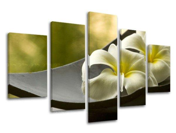 5-részes falfestmény FENG SHUI FS031E50