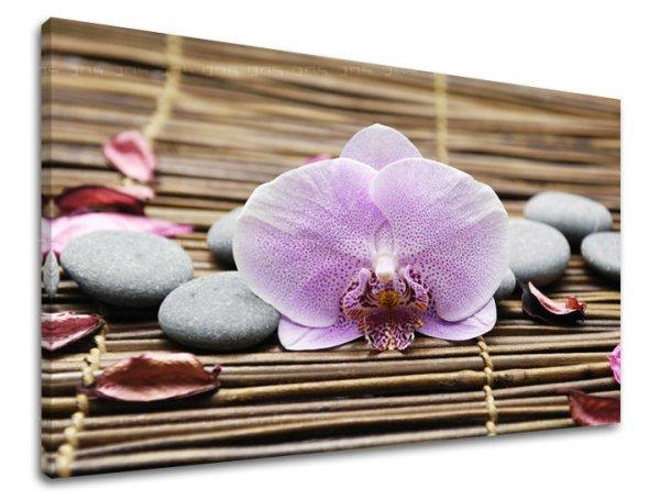 Fali művészet FENG SHUI FS010E11