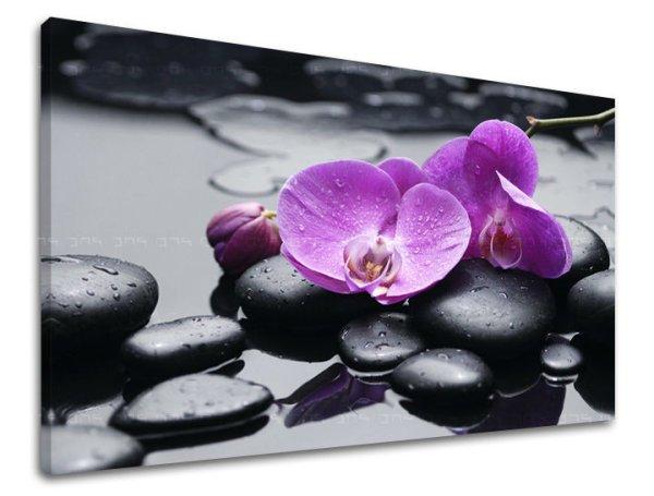 Fali művészet FENG SHUI FS011E11