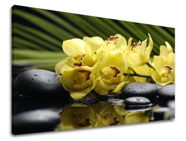Fali művészet FENG SHUI FS012E11