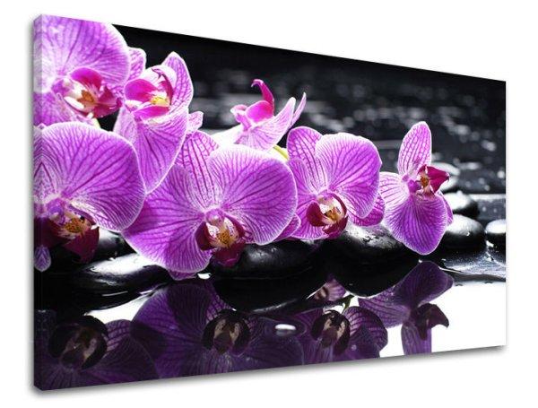 Fali művészet FENG SHUI FS024E11