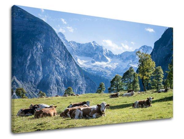 Falfestés LANDSCAPES KR005E11