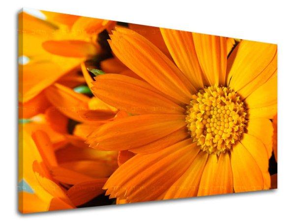 Falfestmény FLOWERS KV015E11