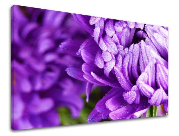 Falfestmény FLOWERS KV022E11