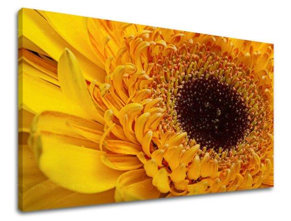 Fali festmény FLOWERS KV023E11