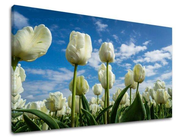 Falfestmény FLOWERS TULIPANS KV040E11