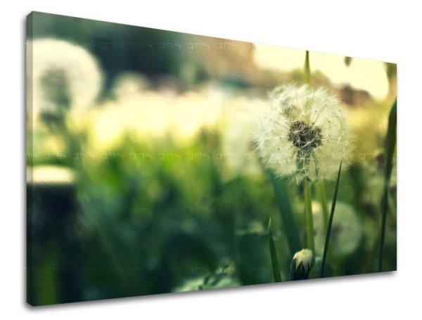 Fali festmény FLOWERS KV051E11