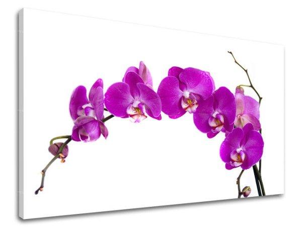 Falfestmény FLOWERS KV052E11