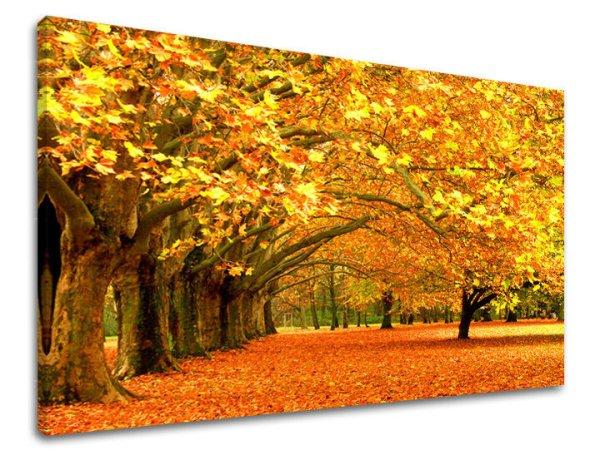 Falfestés TREES ST010E11