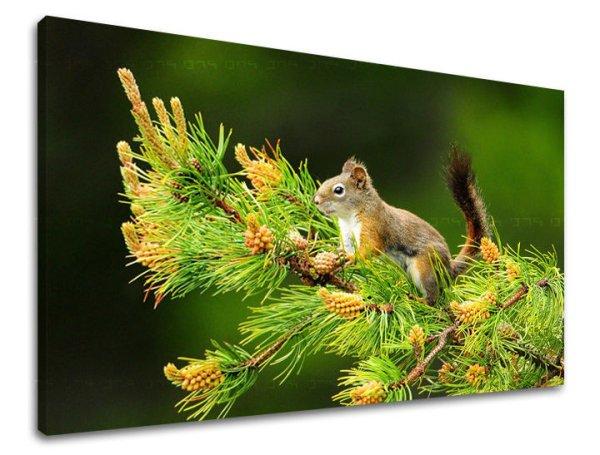 Falfestmény ANIMALS ZV013E11