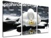 3-rszes falfestmny FENG SHUI FS018E30