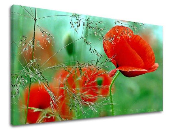 Fali festmény FLOWERS MAKY KV094E11