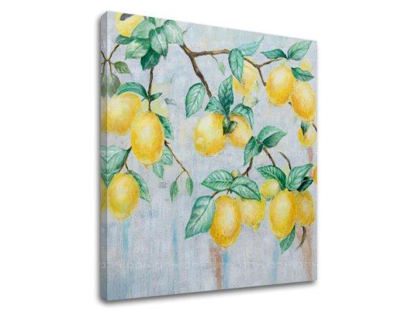 A kép vásznon CITRONS 1 rész XOBCH1840SDE1