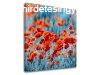Falfestmny RED FLOWERS_159-12