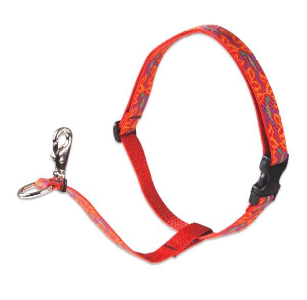LUPINE NO PULL (Go Go Gecko 2,5 cm széles 60-96 cm)