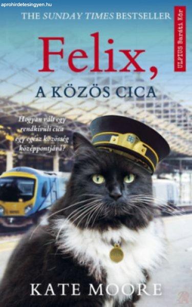 FELIX, A KÖZÖS CICA