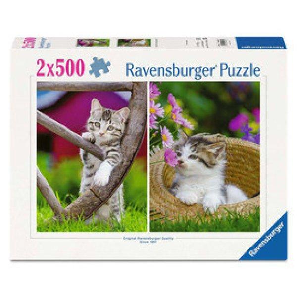Puzzle 2x500 db - Kiscicák vidéken