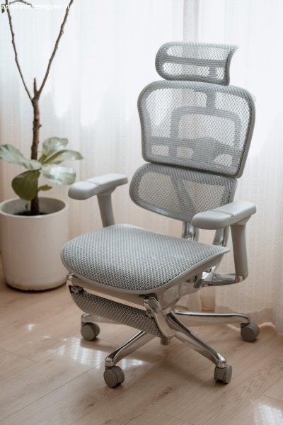 ANTARES ERGOHUMAN Ultra II ergonomikus irodai szék - Szürke váz, szürke
háló