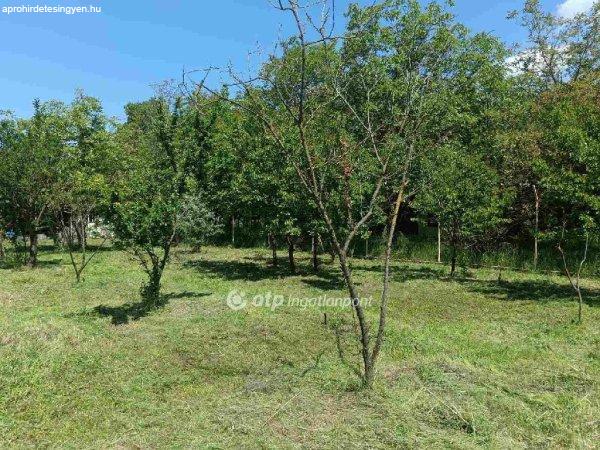3111 m2-es  gyümölcsös eladó Siófok Kiliti-szőlőhegyén