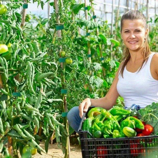 5 m-es tekercs prémium újrafelhasználható nejlon növényi kötőelem