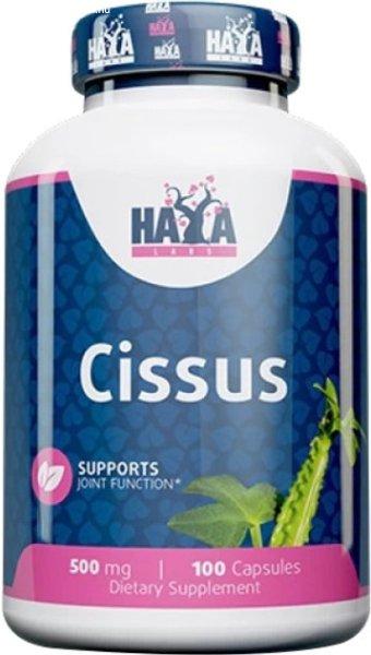 Haya Labs Cissus Kúszóka Növényi Kivonat 500Mg Kapszula 100Db