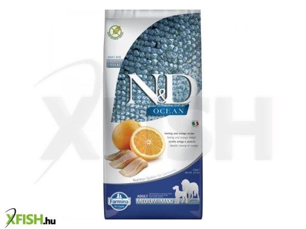 N&d dog ocean hering & narancs adult medium & maxi 12kg