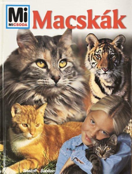 Macskák (Mi micsoda) - Reiner Dr. Köthe