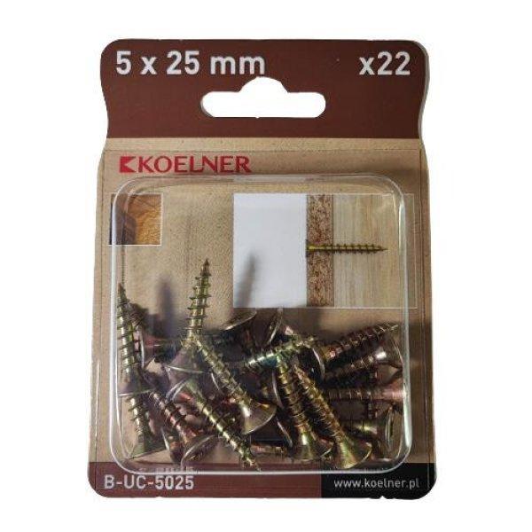 5x25 mm-es faforgácslapcsavar 22db/bliszter (B-UC-5025)