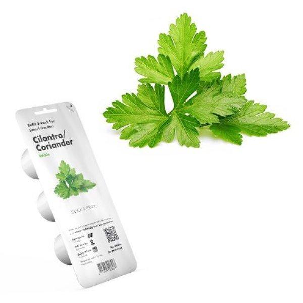 Smart Garden Koriander - PC
