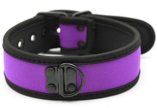 Puppy Simply – stílusos neoprének nyakörv púrpurszínben