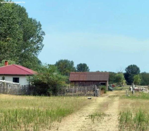 Fancsikai tó közelében tanya eladó - Debrecen