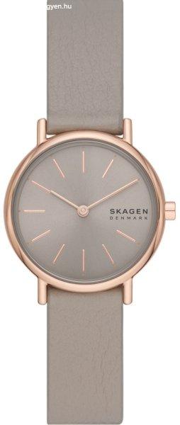 Skagen Signature SKW3060