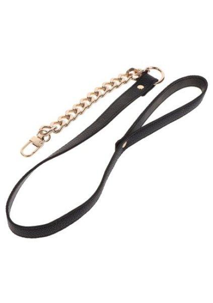Taboom Statement Collar and leash