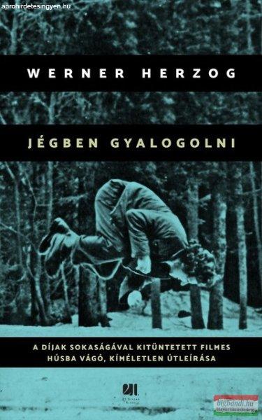 Werner Herzog - Jégben gyalogolni