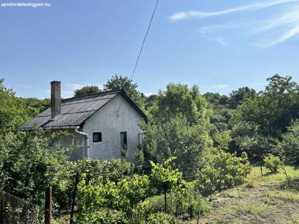 Eladó nyaraló Pingyonon – aszfaltozott út, panoráma, stabil ház,
gondozott gyümölcsös kert 