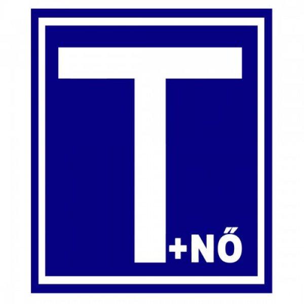 T+nő mágneses tanuló kék t+nő – 538