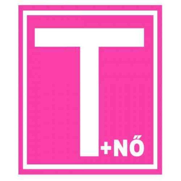 T+nő mágneses tanuló rózsaszín t+nő – 540