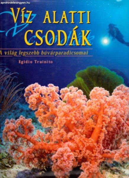 Víz alatti csodák - A világ legszebb búvárparadicsomai - Egidio Trainito