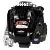 Briggs & Stratton 875EXi OHV kaplgp szervzmotor - 