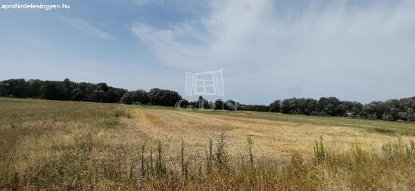 Eladó ipari ingatlan Újlengyel, 	M5 Autópálya vonzásában!