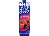 Hey-Ho 1l 25% Piros Multivitamin