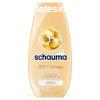 Schauma sampon 250ml Q10